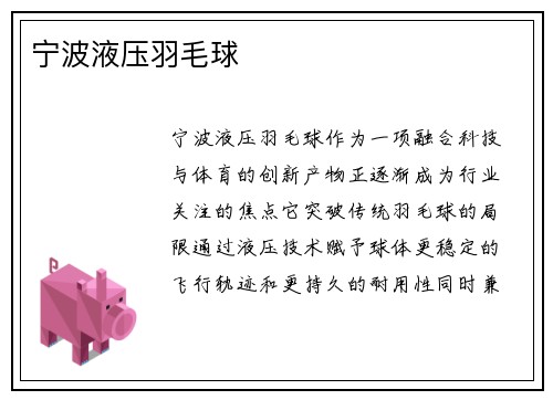 宁波液压羽毛球